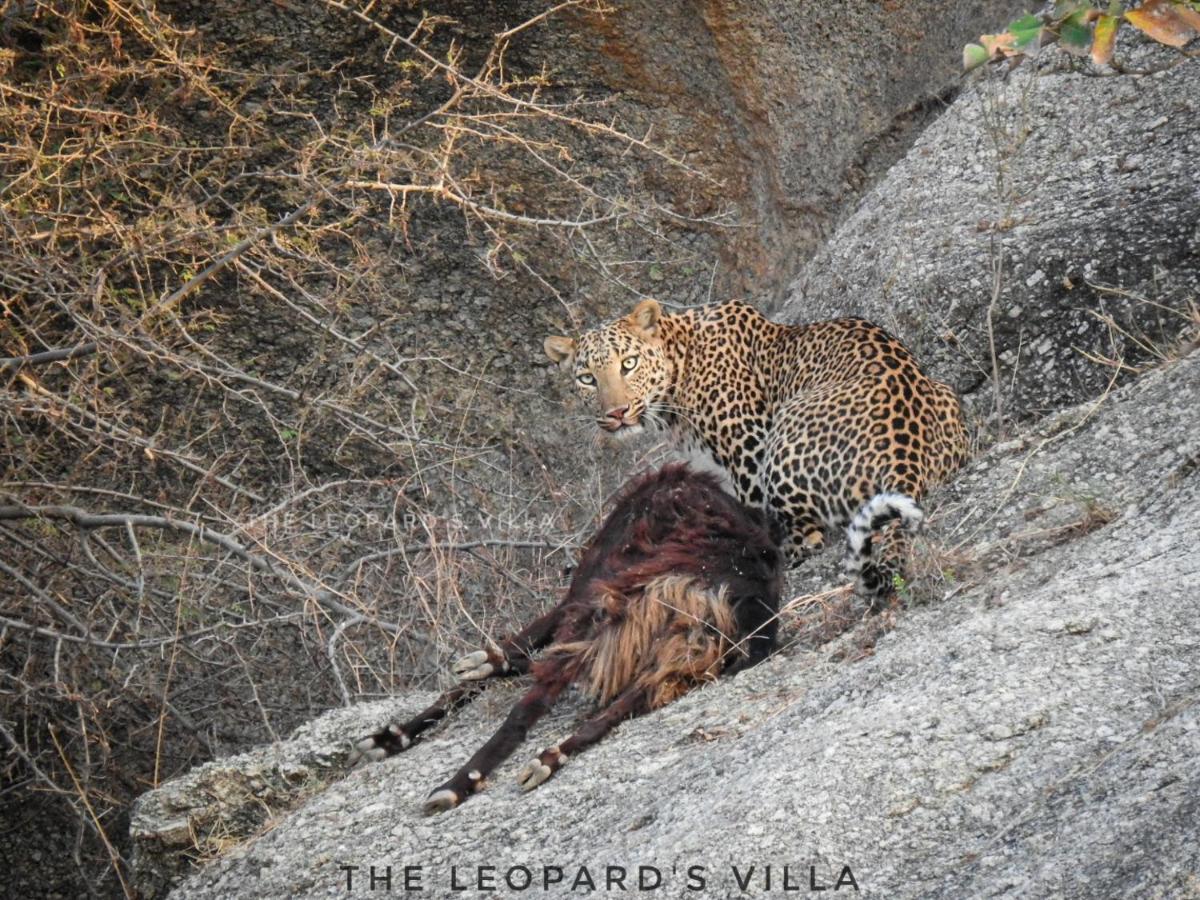 Jawai Leopard Villa Bijapur  Екстер'єр фото
