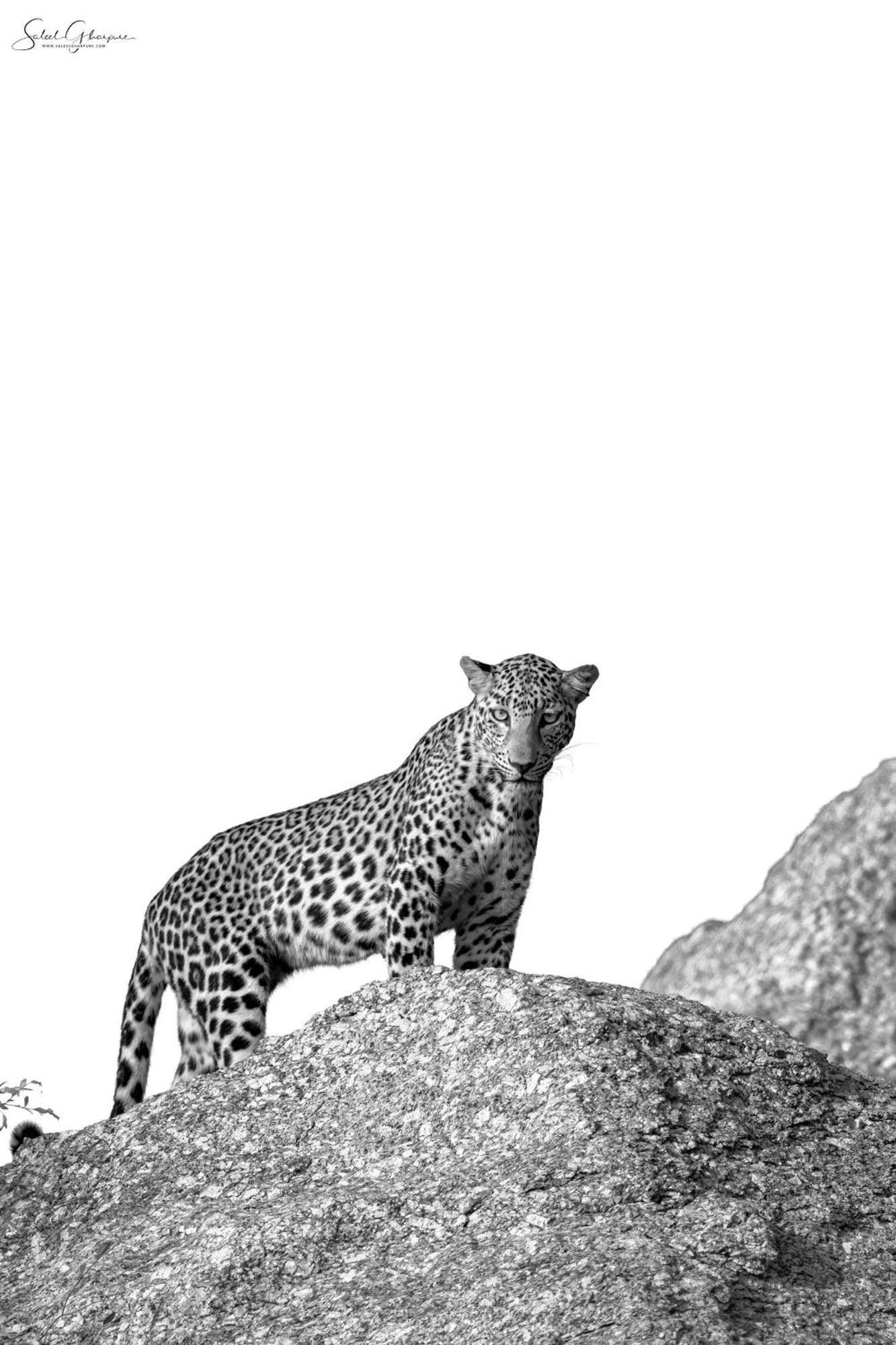 Jawai Leopard Villa Bijapur  Екстер'єр фото